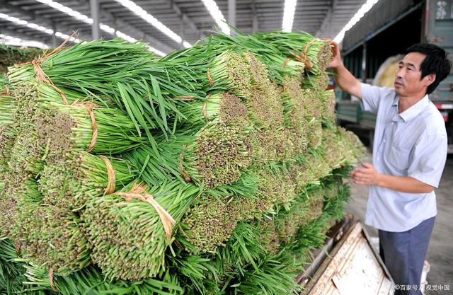 地摊经济 打通农产品销售“最后一公里”的活力密码